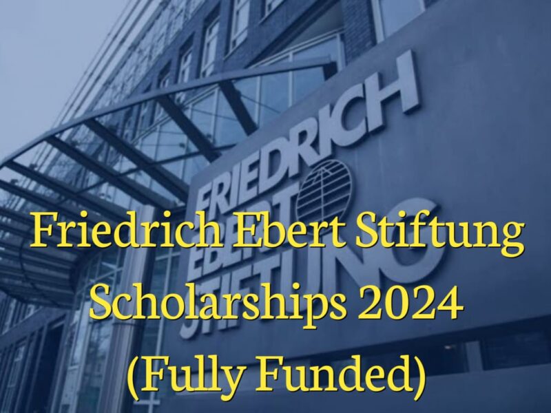 Friedrich Ebert Stiftung Scholarships:Paving the Way to Excellence