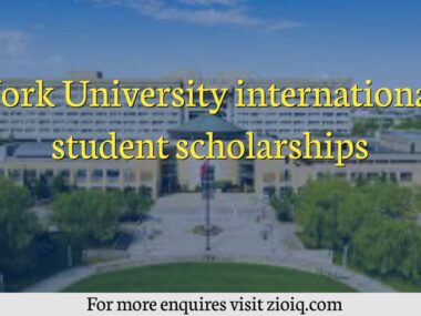 York University international student scholarships