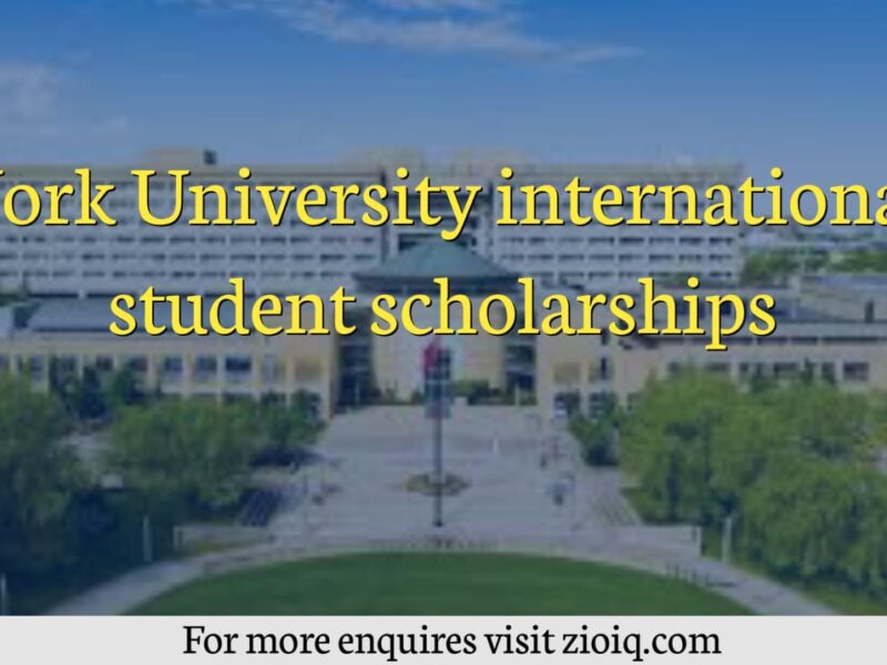 York University international student scholarships